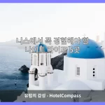 니스 대표 이미지