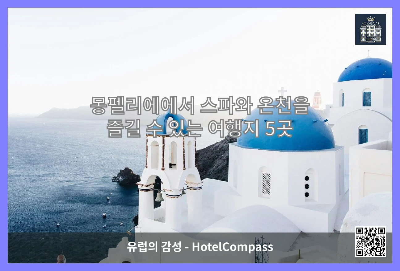 몽펠리에 대표 이미지